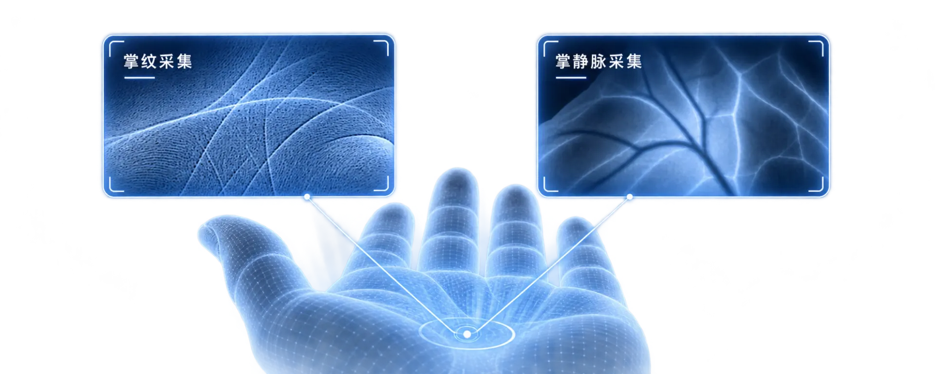 Combined palmprint and palm vein recognition