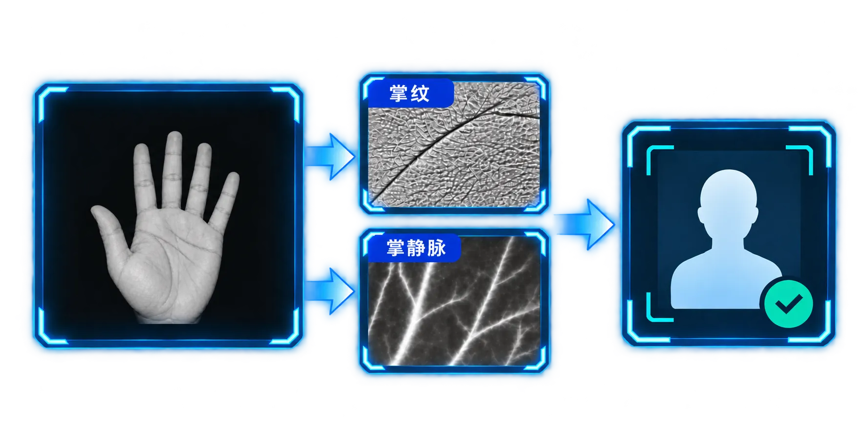 Veinshine 高清掌部成像展示